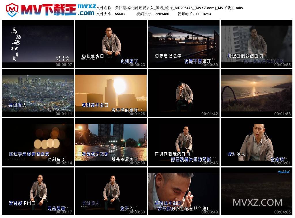龚怀胤-忘记她还要多久_国语_流行_MD206475
